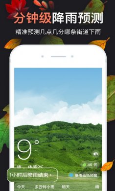 天气预报app