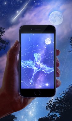 星图app去广告版