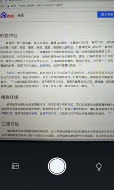 文字识别app会员破解版