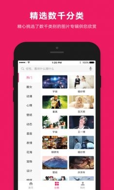 图片搜搜绿化版