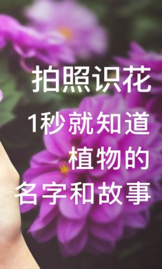 形色app