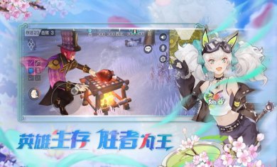 风云岛行动