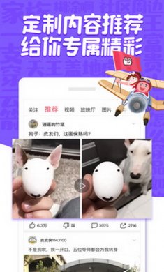 皮皮虾app