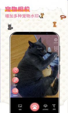 宠物趣味翻译器app安卓版