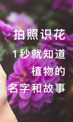 形色app安卓版