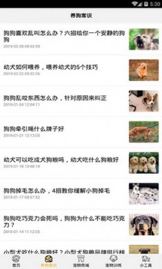 狗语翻译器app破解版