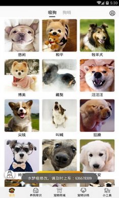 狗语翻译器app破解版