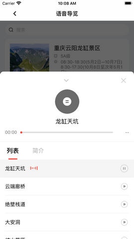 惠游重庆app