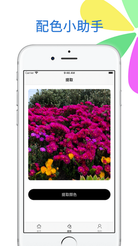 配色小助手app