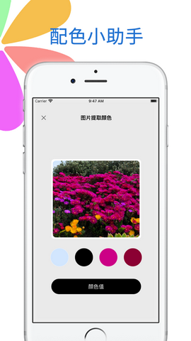 配色小助手app