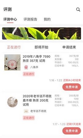 茶友网app