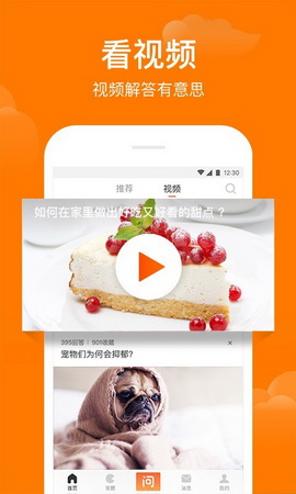 悟空问答app