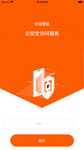 云安全访问