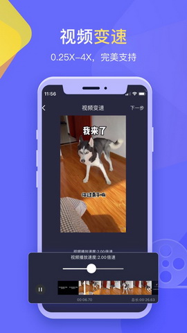 水印大师