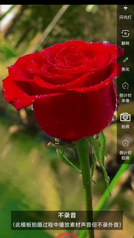 左拍app