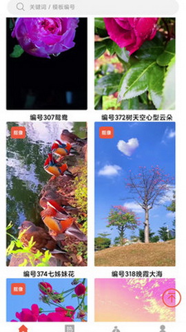 左拍app