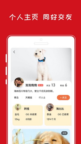 青岛小奇app