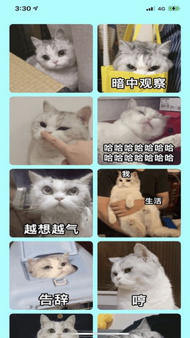 小噗通app