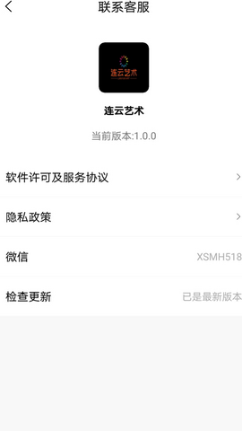 连云艺术小说