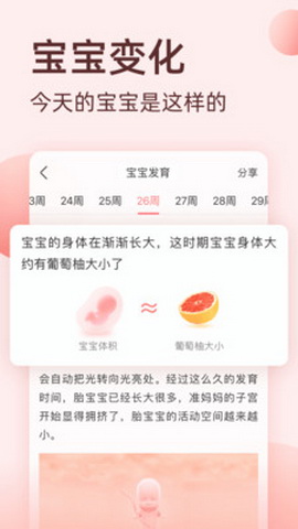 柚宝宝相册