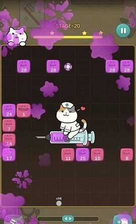 神秘的猫科牙医