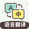 英语翻译软件王